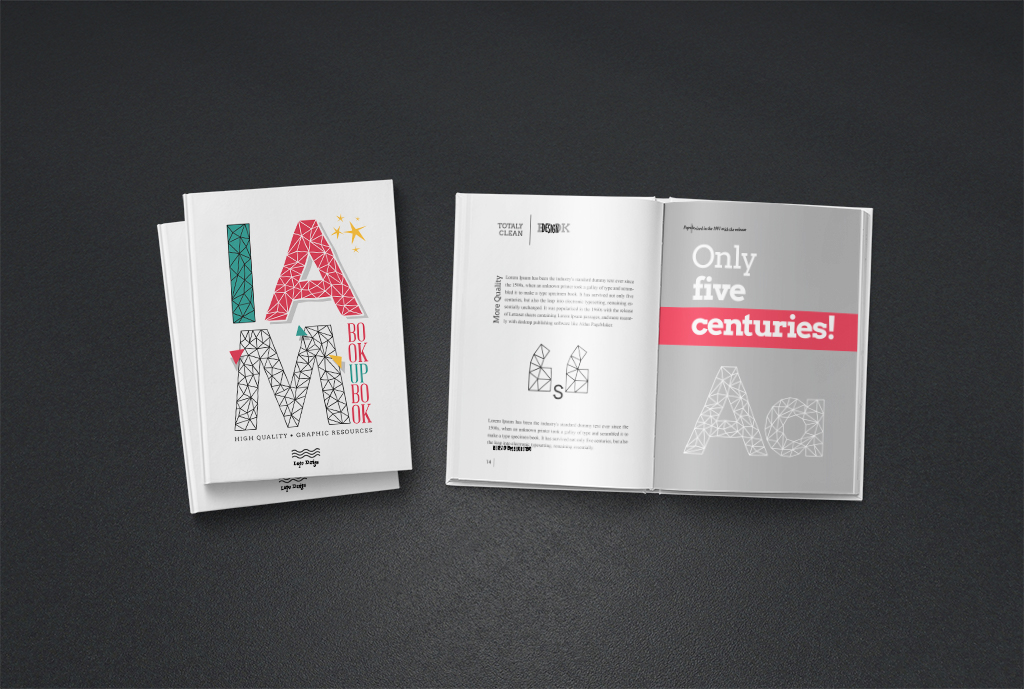 Libri, brossure e pubblicazioni rilegate